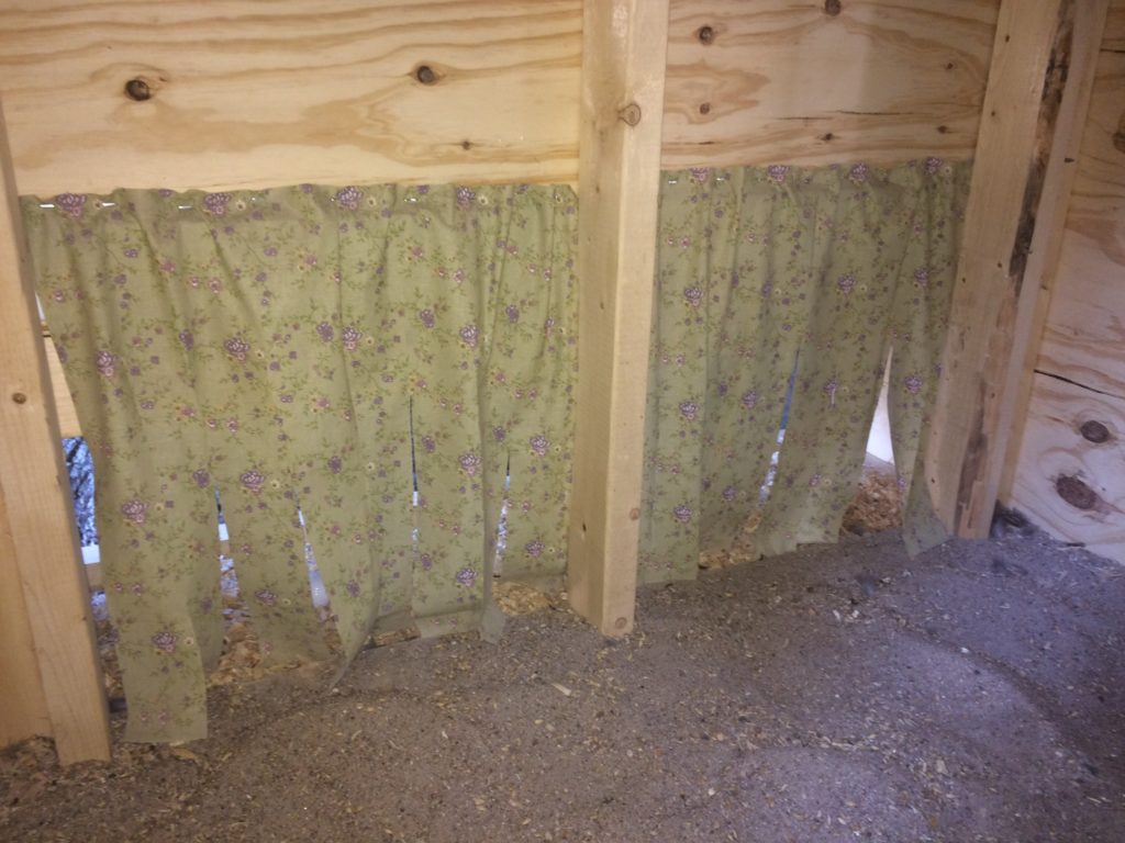 Privacy curtains on nest box