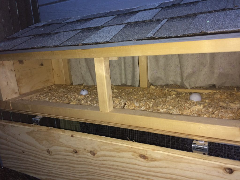 Golf balls in nest boxes