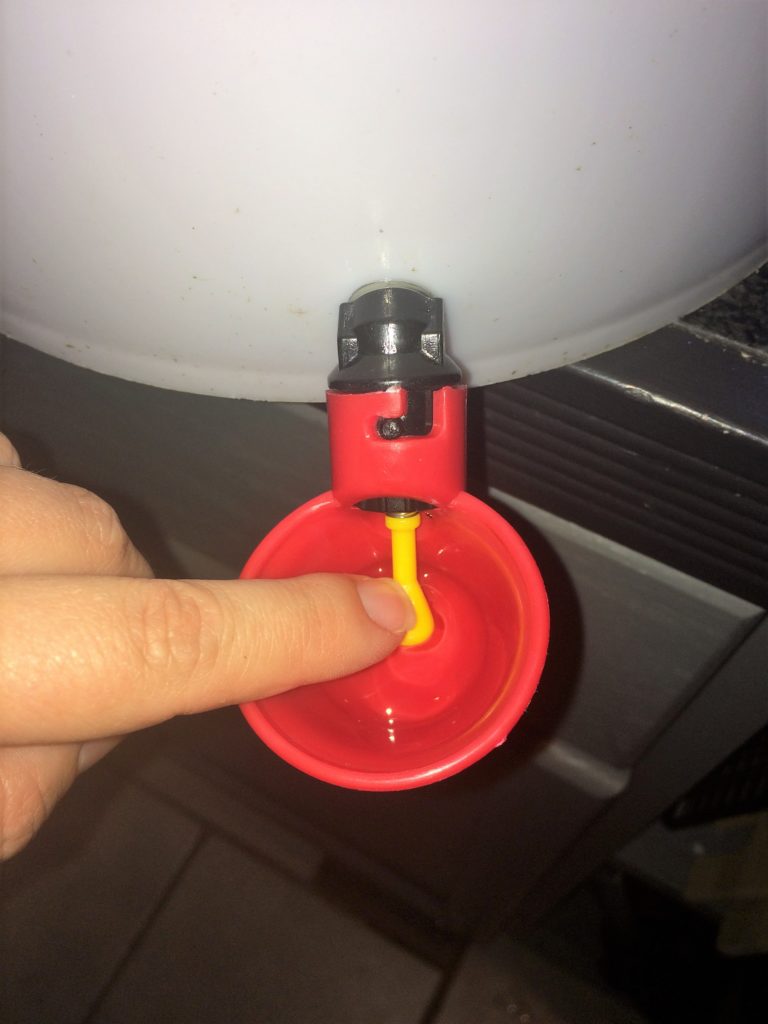 Poultry cups for bucket waterer