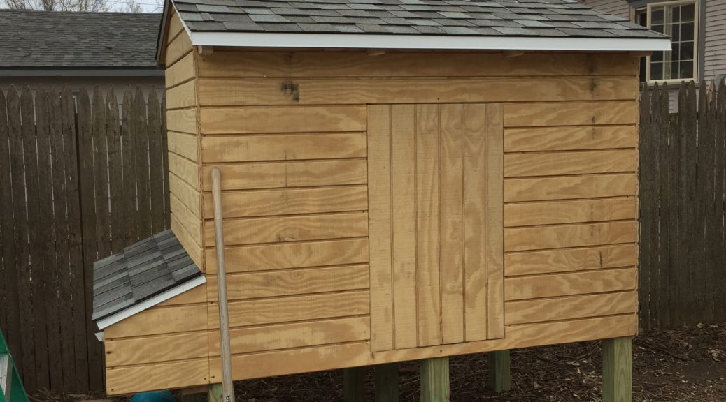 Chicken coop roof done