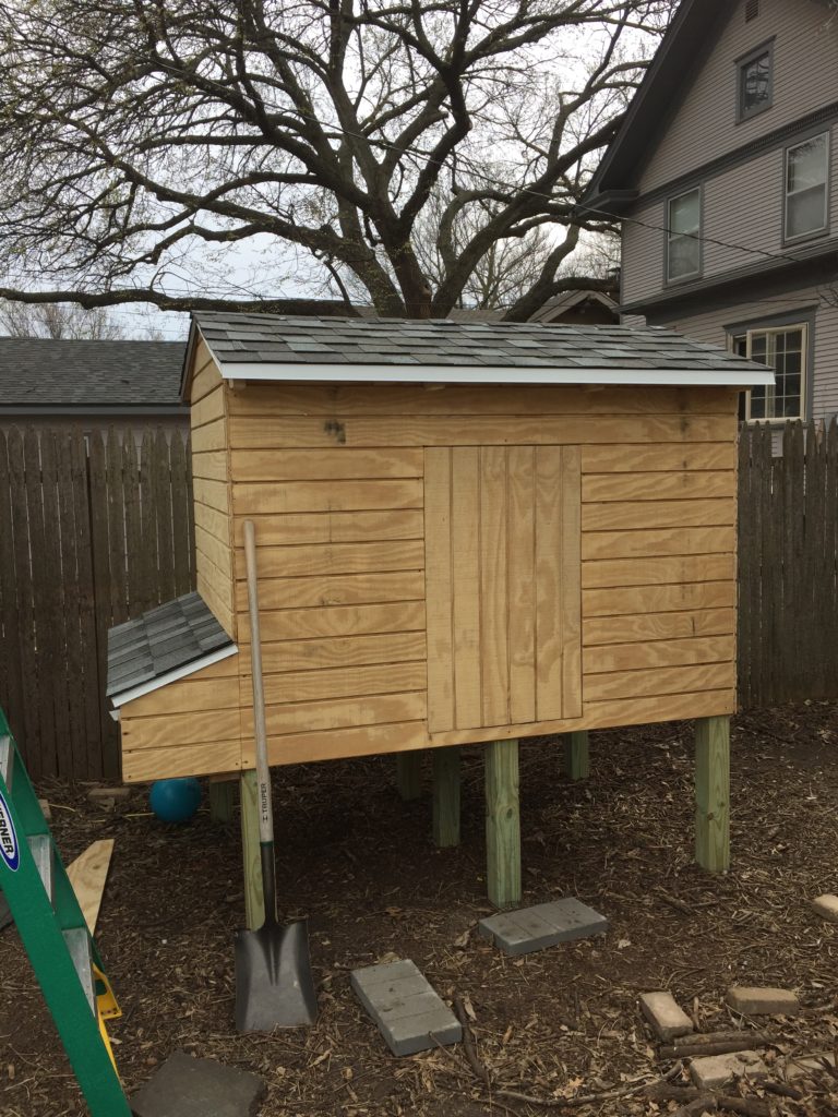Chicken coop roof done