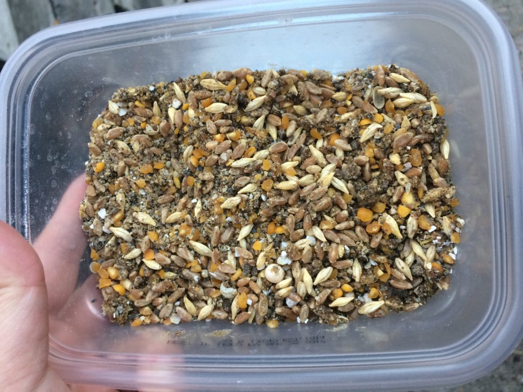 Chicken feed with calcium and olive oil mixed in